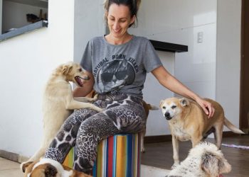 Prefeitura de São José abre credenciamento para lar temporário de cães e gatos