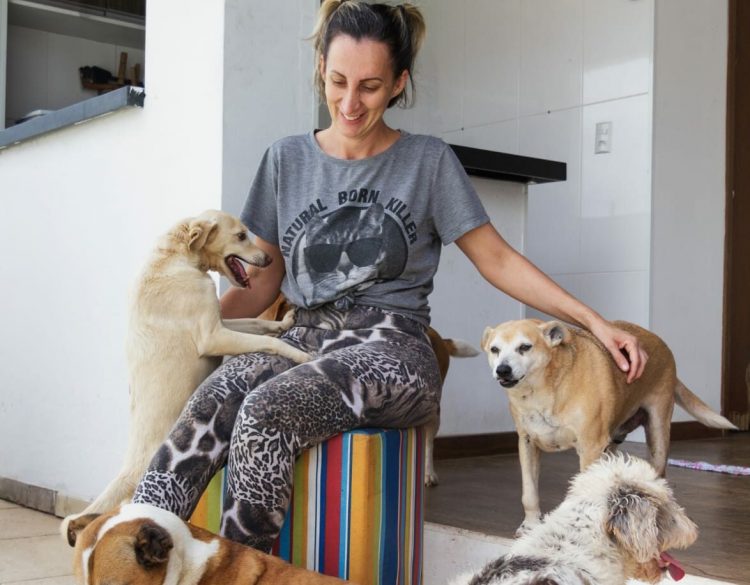 Prefeitura de São José abre credenciamento para lar temporário de cães e gatos