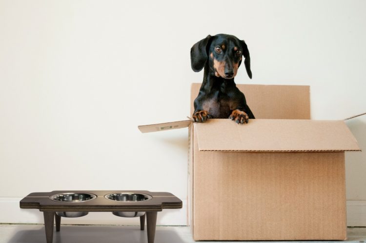 3ª edição do Bazar Exclusive Decor Chris Ribeiro acontece em São José