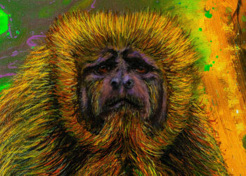 Paulo Burani realiza exposição em São José