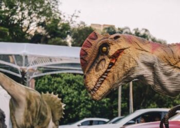 Jurassic Safari é atração em São José
