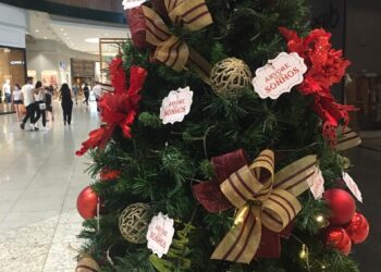 Árvore dos sonhos montada no Continente Shopping irá beneficiar crianças